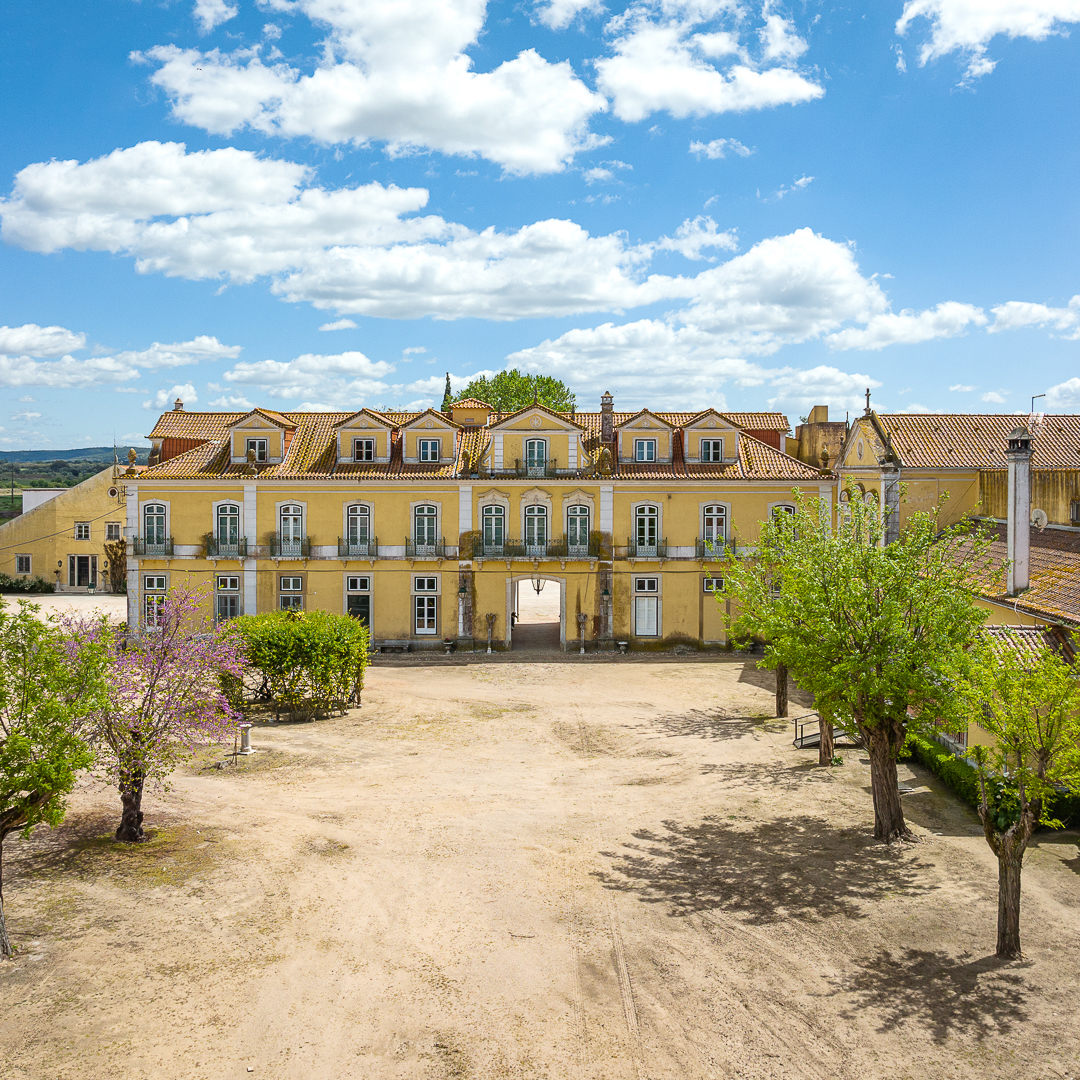 Quinta da Lagoalva faz rebranding e estreia Fernão Pires em monocasta 