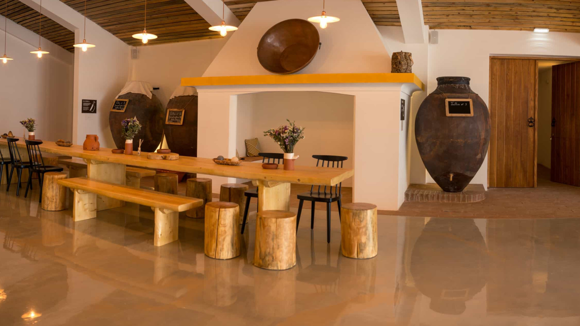 Adega da Vidigueira com programa de Enoturismo animado 