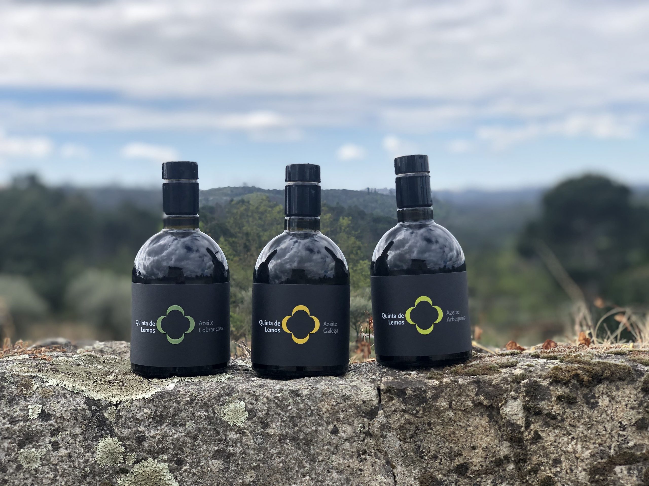 Quinta de Lemos apresenta novas colheitas de azeite 