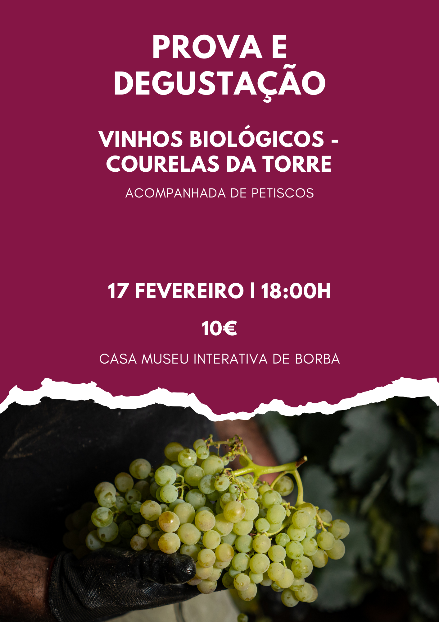 Casa Museu Interativa de Borba organiza Prova e Degustação de Vinhos Biológicos das Courelas da Torre 