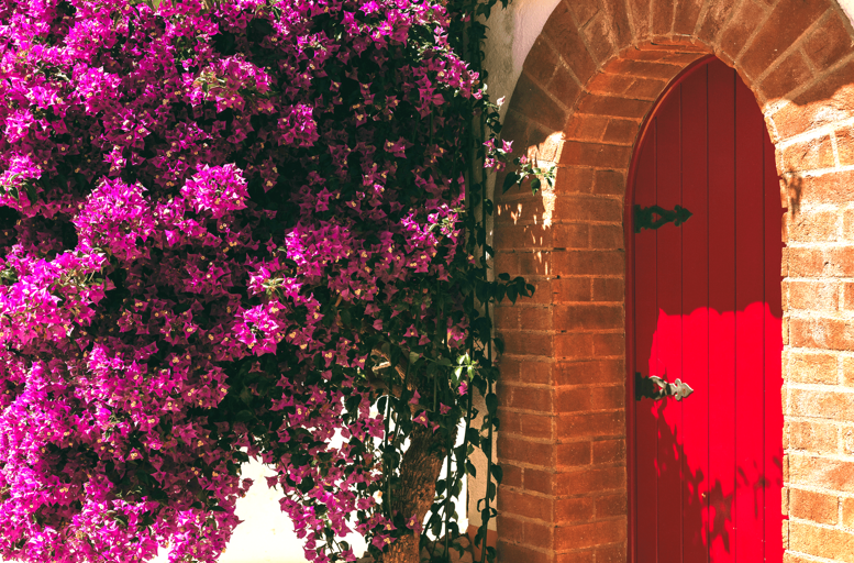 Villa Alvor propõe 4 sunsets vínicos para brindar ao verão algarvio