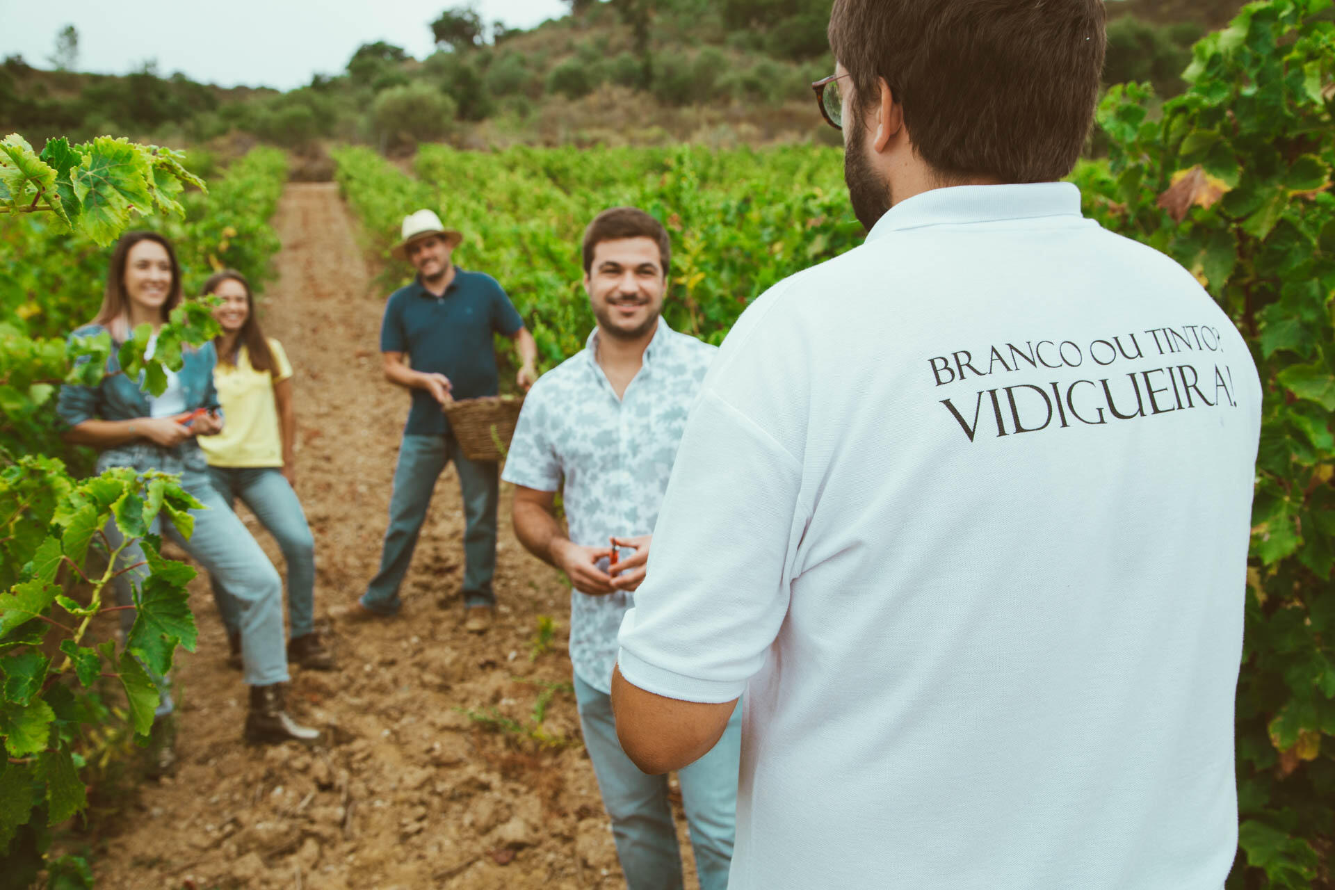 Vindimas na Adega da Vidigueira