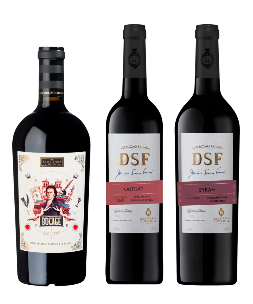 Vinhos da região de Setúbal brindam ao frio