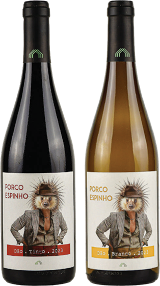 Cas’Amaro lança Porco Espinho Tinto e Branco 2023, uma homenagem ao Dão