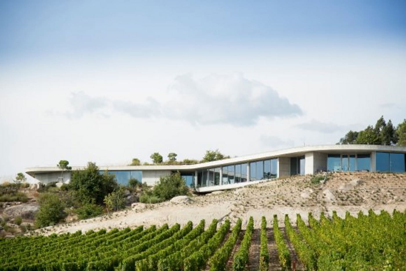 Quinta de Lemos launches Christmas packs