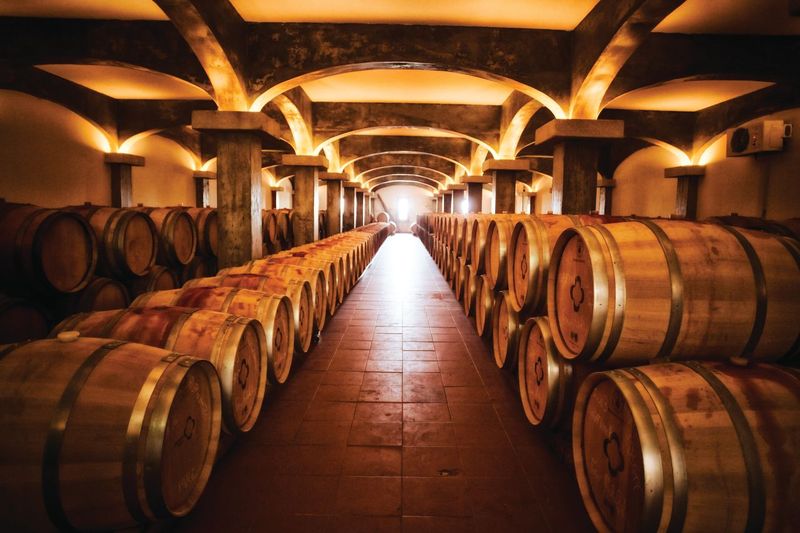 Quinta de Lemos celebrates 20 years with an Open Day featuring guided tours and free tastings