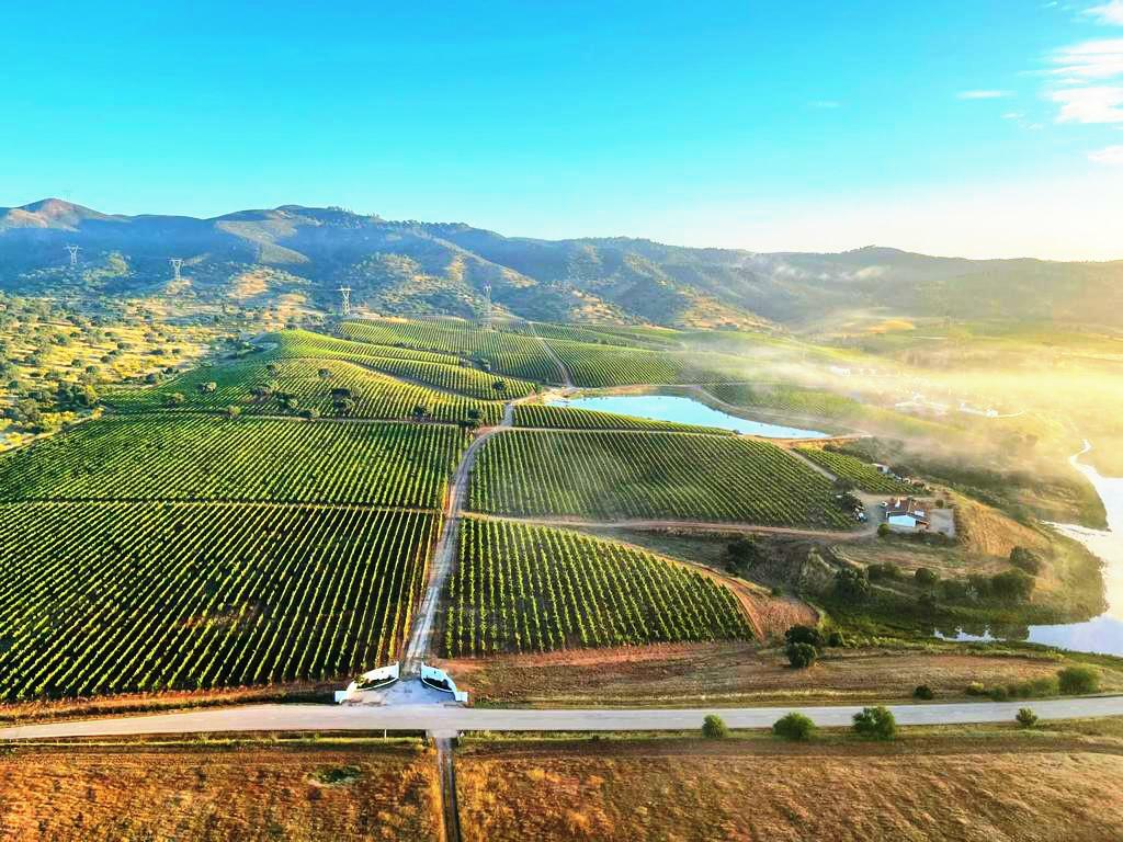 Three APENO members among Forbes’ 50 Best Wineries in the World